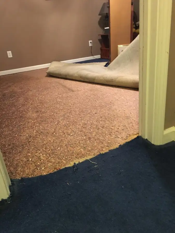 Carpet pad removal revealing water damage during Drying & Dehumidification in Lower Moreland